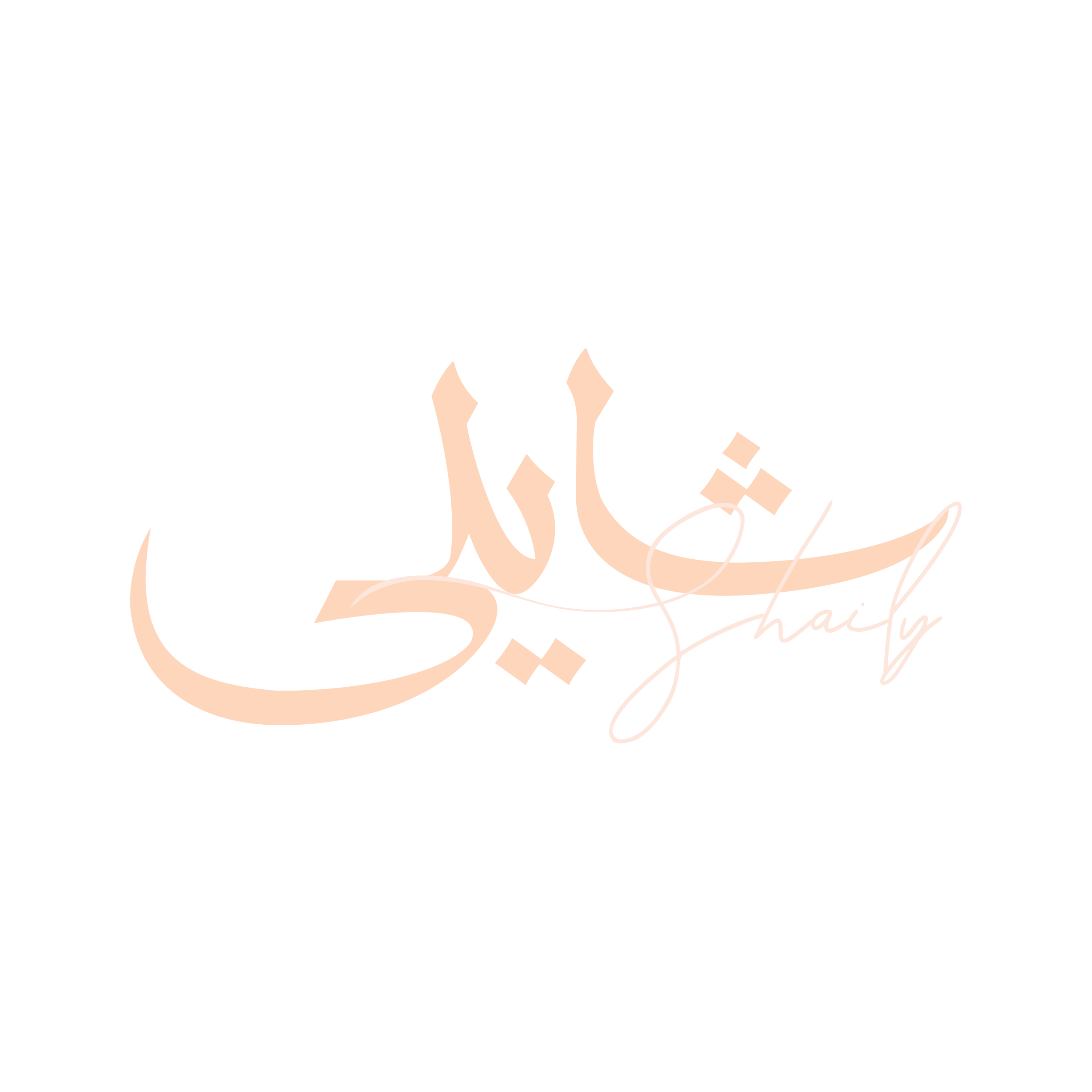 شایلی بیوتی